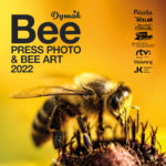 Výstava Bee Press Photo 2021 súčasťou Apimondie