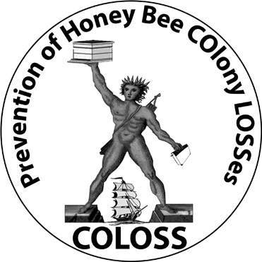 Zimné straty včelstiev
